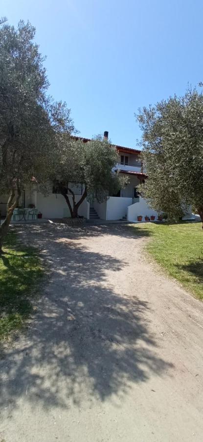 Apartament House Eugenia Sarti Zewnętrze zdjęcie